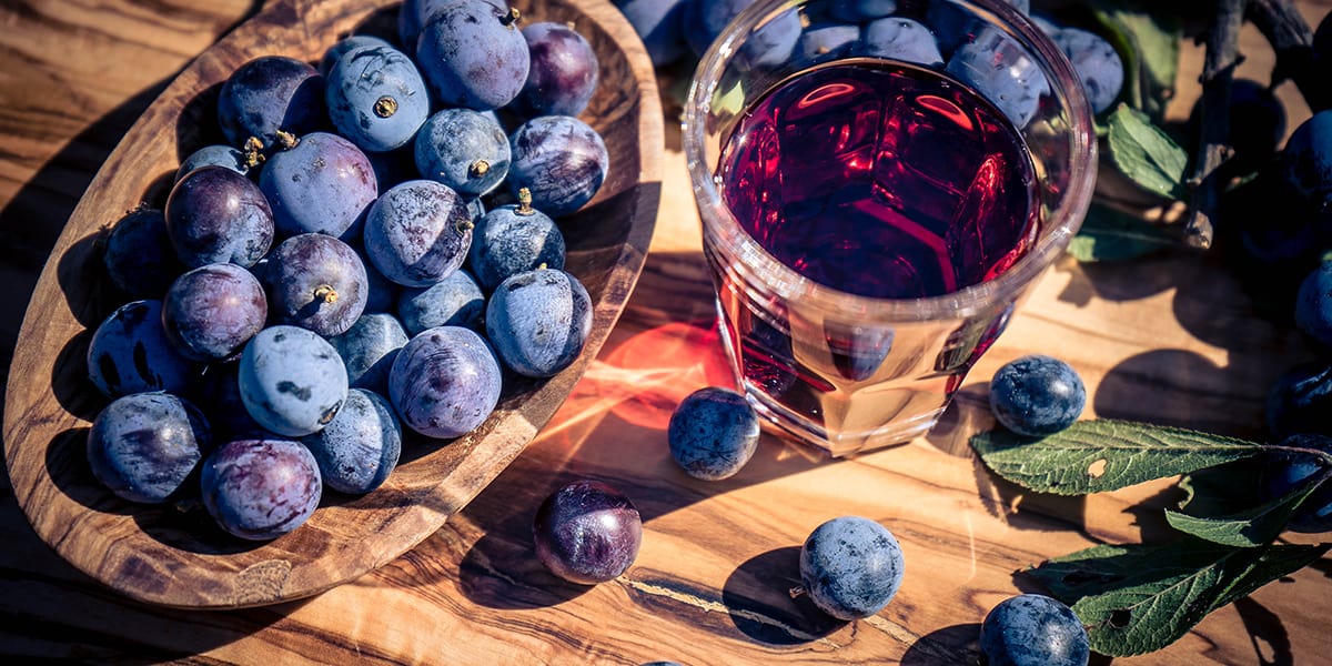 Sloes of the blackthorn plant used to make gin