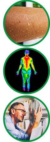 Human body cooling via sweat, Human body heat patterns, Human using a fan to keep cool