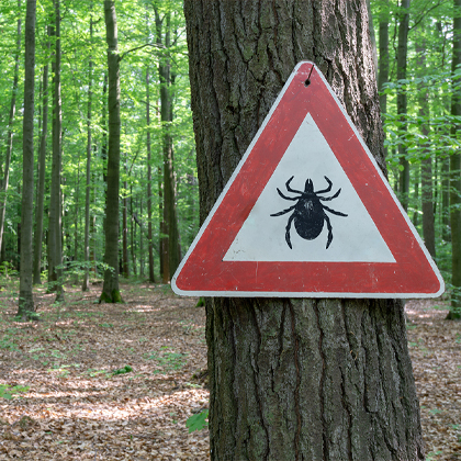 Lyme disease symptoms and prevention