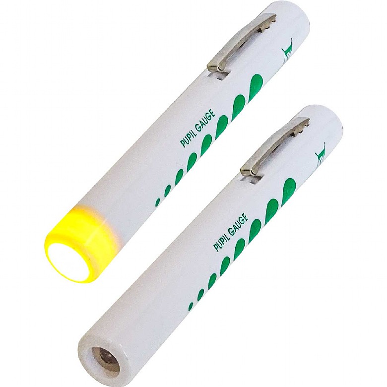 Disposable Pen Torch
