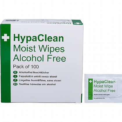 HypaClean Moist Wipes, Alcohol Free (Pack of 100)