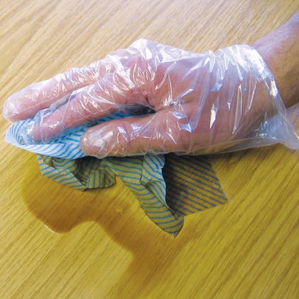 Polythene Gloves, Pack of 100